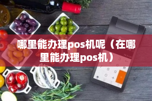 哪里能办理pos机呢（在哪里能办理pos机）