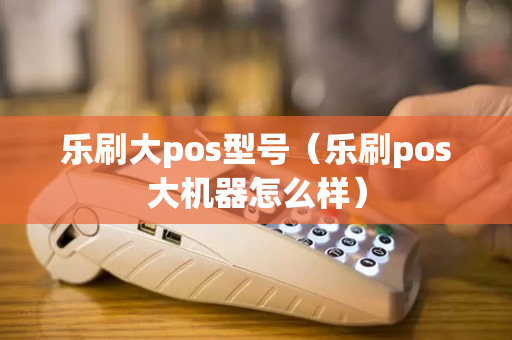 乐刷大pos型号（乐刷pos大机器怎么样）