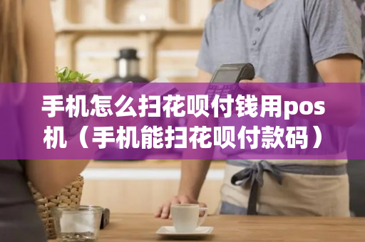 手机怎么扫花呗付钱用pos机（手机能扫花呗付款码）