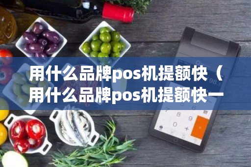 用什么品牌pos机提额快（用什么品牌pos机提额快一点）