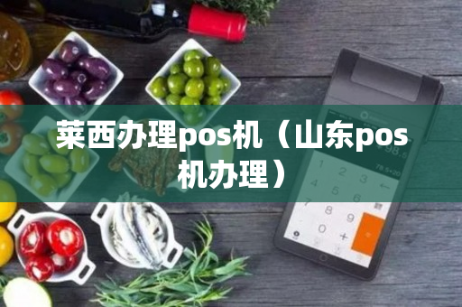 莱西办理pos机（山东pos机办理）