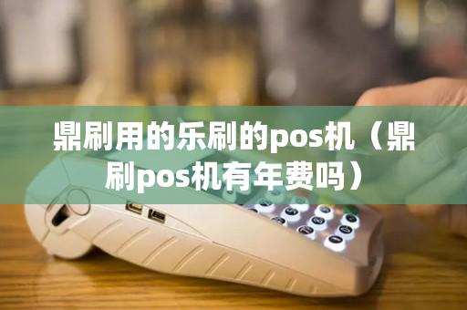 鼎刷用的乐刷的pos机（鼎刷pos机有年费吗）