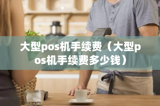 大型pos机手续费（大型pos机手续费多少钱）