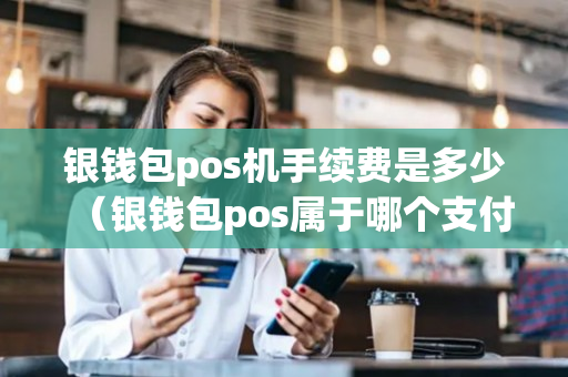 银钱包pos机手续费是多少（银钱包pos属于哪个支付公司）