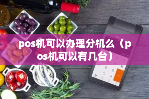 pos机可以办理分机么（pos机可以有几台）