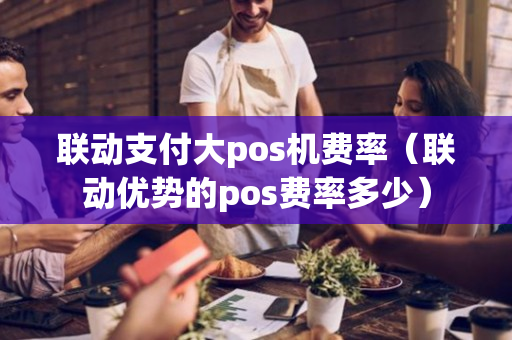 联动支付大pos机费率（联动优势的pos费率多少）