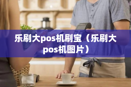 乐刷大pos机刷宝（乐刷大pos机图片）