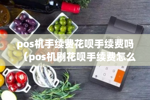 pos机手续费花呗手续费吗（pos机刷花呗手续费怎么算）