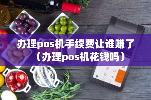 办理pos机手续费让谁赚了（办理pos机花钱吗）