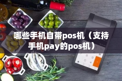 哪些手机自带pos机（支持手机pay的pos机）