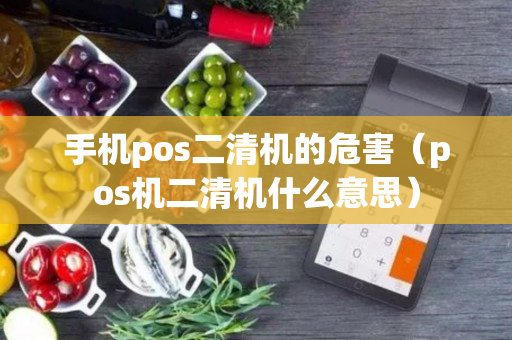 手机pos二清机的危害（pos机二清机什么意思）