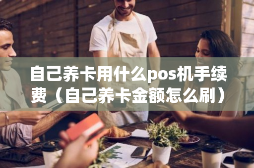 自己养卡用什么pos机手续费（自己养卡金额怎么刷）