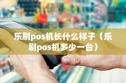 乐刷pos机长什么样子（乐刷pos机多少一台）