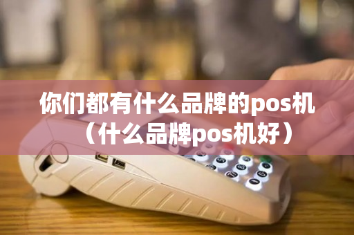 你们都有什么品牌的pos机（什么品牌pos机好）