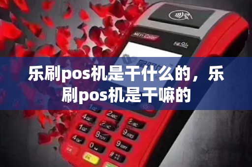 乐刷pos机是干什么的，乐刷pos机是干嘛的