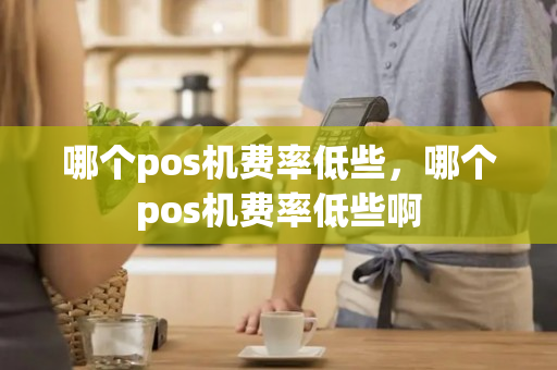 哪个pos机费率低些，哪个pos机费率低些啊