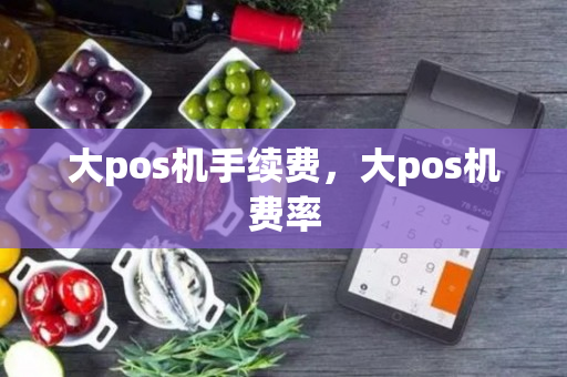 大pos机手续费，大pos机费率