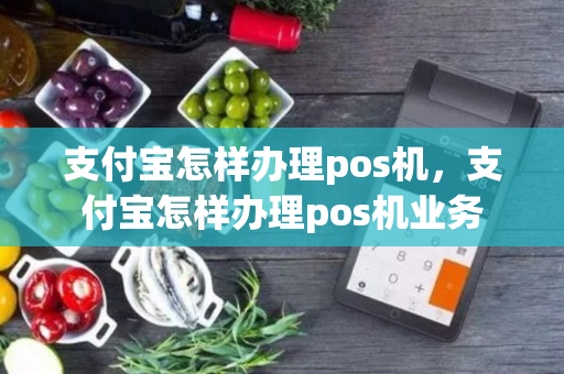 支付宝怎样办理pos机，支付宝怎样办理pos机业务