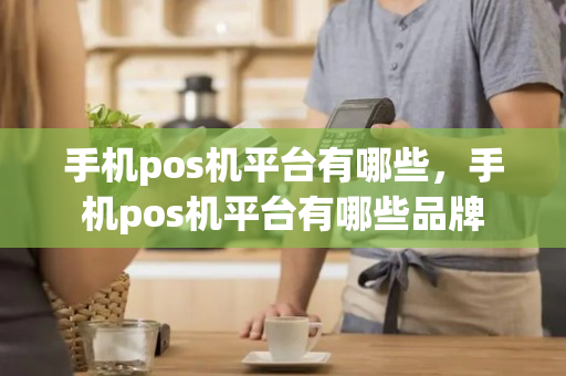 手机pos机平台有哪些，手机pos机平台有哪些品牌