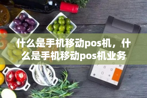 什么是手机移动pos机，什么是手机移动pos机业务