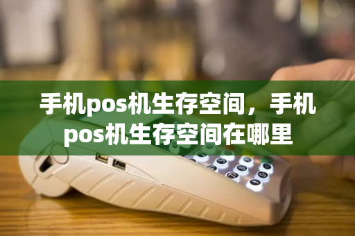 手机pos机生存空间，手机pos机生存空间在哪里