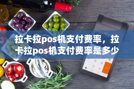 拉卡拉pos机支付费率，拉卡拉pos机支付费率是多少