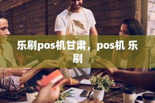 乐刷pos机甘肃，pos机 乐刷