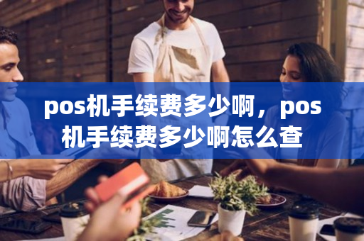 pos机手续费多少啊，pos机手续费多少啊怎么查