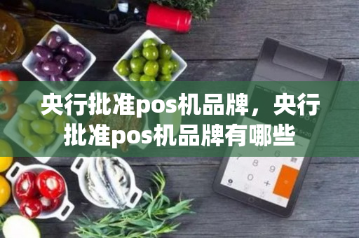 央行批准pos机品牌，央行批准pos机品牌有哪些