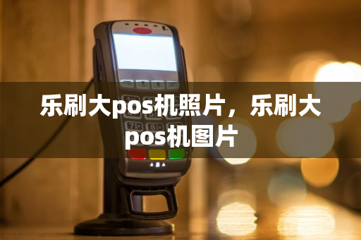 乐刷大pos机照片，乐刷大pos机图片