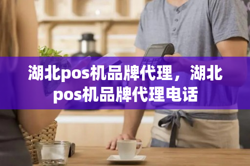 湖北pos机品牌代理，湖北pos机品牌代理电话