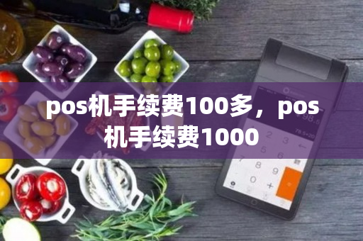 pos机手续费100多，pos机手续费1000