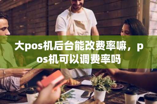 大pos机后台能改费率嘛，pos机可以调费率吗