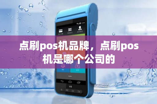 点刷pos机品牌，点刷pos机是哪个公司的