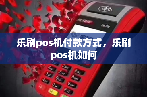 乐刷pos机付款方式，乐刷pos机如何