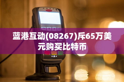 蓝港互动(08267)斥65万美元购买比特币