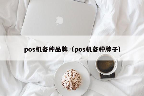 pos机各种品牌（pos机各种牌子）