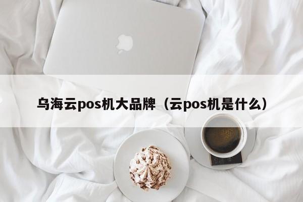 乌海云pos机大品牌（云pos机是什么）