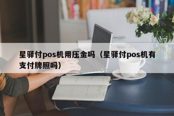 星驿付pos机用压金吗（星驿付pos机有支付牌照吗）