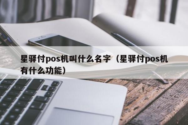 星驿付pos机叫什么名字（星驿付pos机有什么功能）