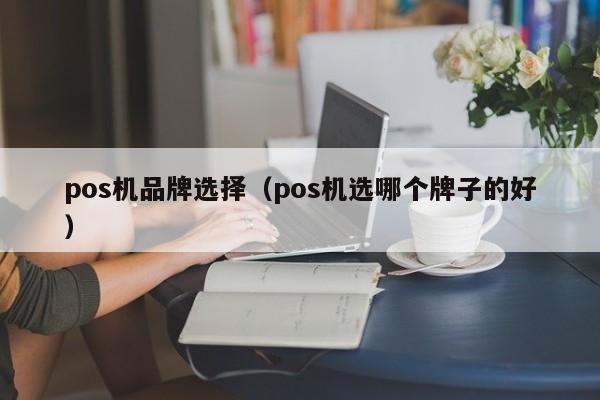 pos机品牌选择（pos机选哪个牌子的好）