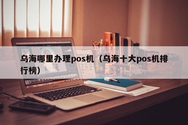 乌海哪里办理pos机（乌海十大pos机排行榜）