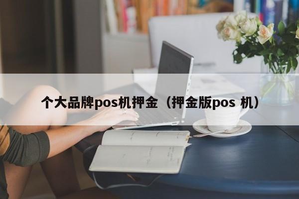 个大品牌pos机押金（押金版pos 机）