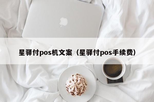 星驿付pos机文案（星驿付pos手续费）