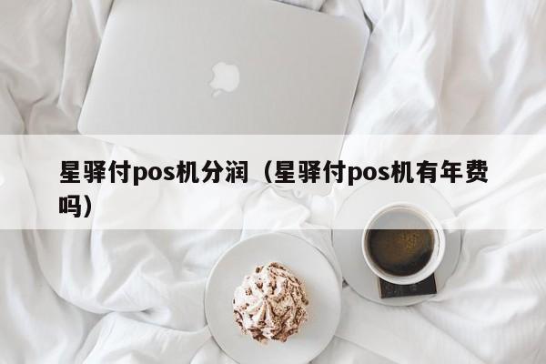 星驿付pos机分润（星驿付pos机有年费吗）