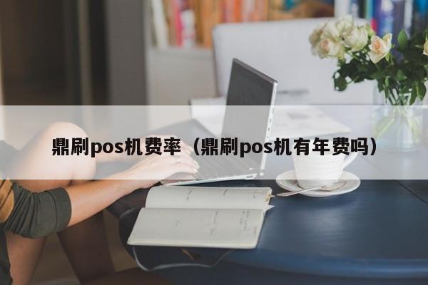 鼎刷pos机费率（鼎刷pos机有年费吗）