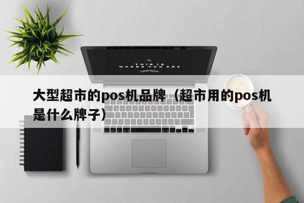 大型超市的pos机品牌（超市用的pos机是什么牌子）