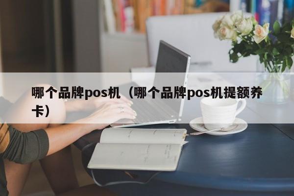 哪个品牌pos机（哪个品牌pos机提额养卡）