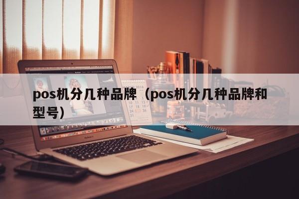 pos机分几种品牌（pos机分几种品牌和型号）