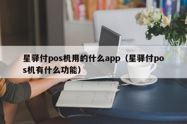 星驿付pos机用的什么app（星驿付pos机有什么功能）